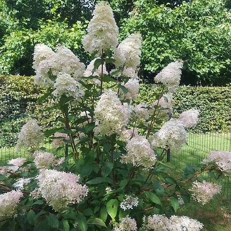Gîte, Le Séchoir à Lin Demeure De Charme * Les Hauts-de-Caux