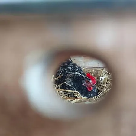 Séjour à la campagne Gîte, Le Séchoir à Lin Demeure De Charme *